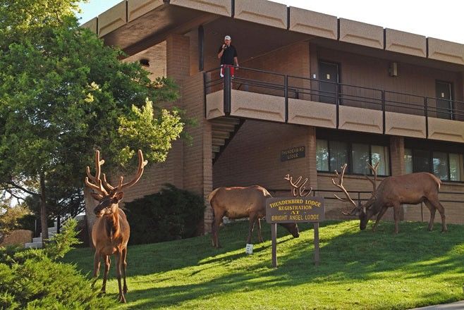 Kachina Lodge Grand Canyon Ngoại thất bức ảnh